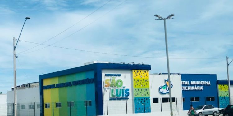 Saúde animal em alta: HVM de São Luís registra mais de 5 mil cirurgias e 90 mil exames laboratoriais no 1º ano