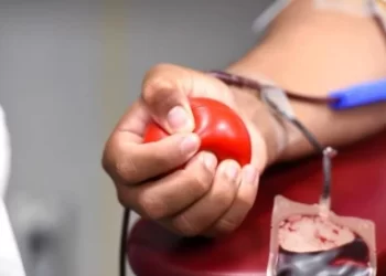 Ministério da Saúde lança campanha para incentivar doação regular de sangue