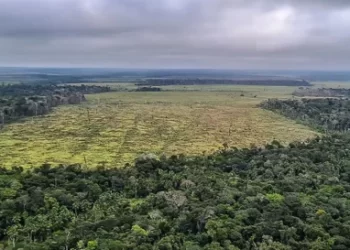 MMA e Inpe lançam sistema inédito de monitoramento diário da Amazônia
