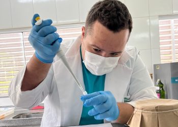 Substância brasileira avança em testes para tratar lesões na medula espinhal