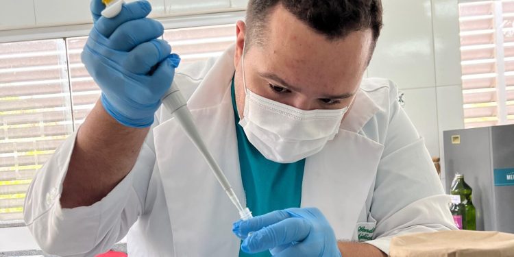 Substância brasileira avança em testes para tratar lesões na medula espinhal