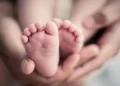 Lei reduz prazo e assegura renda imediata para mães em licença-maternidade