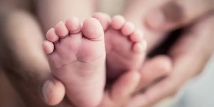 Lei reduz prazo e assegura renda imediata para mães em licença-maternidade