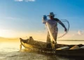 Pescadores do Maranhão devem cumprir etapa presencial para garantir Seguro-Defeso