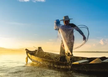Pescadores do Maranhão devem cumprir etapa presencial para garantir Seguro-Defeso