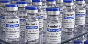 Polilaminina entra em fase de testes clínicos para avaliar segurança em pacientes com lesão medular